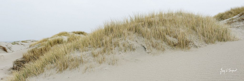 Le-Touquet-0249.jpg