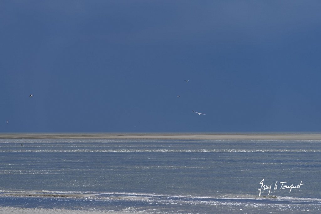 Berck-sur-Mer-0871.jpg