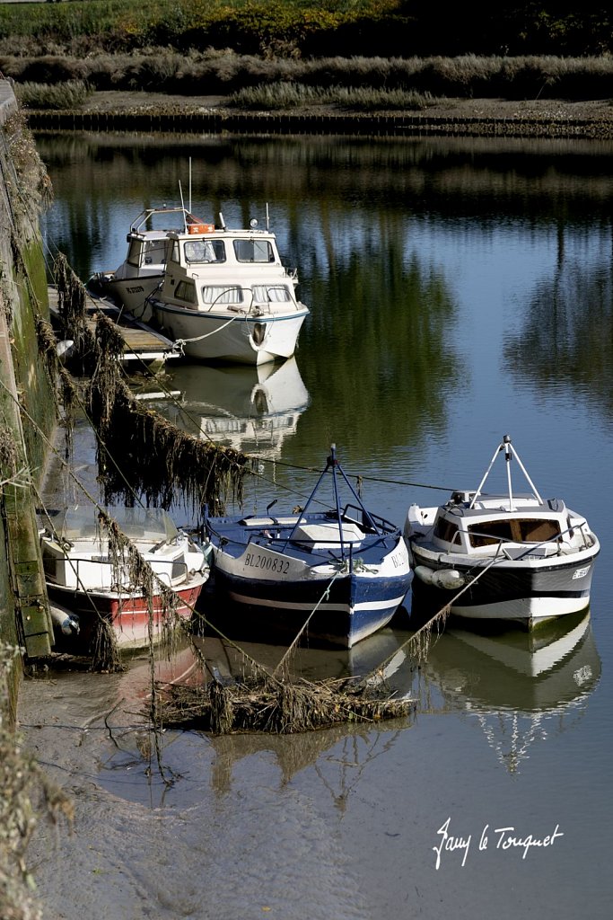 Baie-de-Somme-0426.jpg