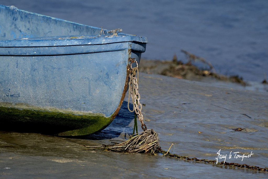 Baie-de-Somme-0429.jpg