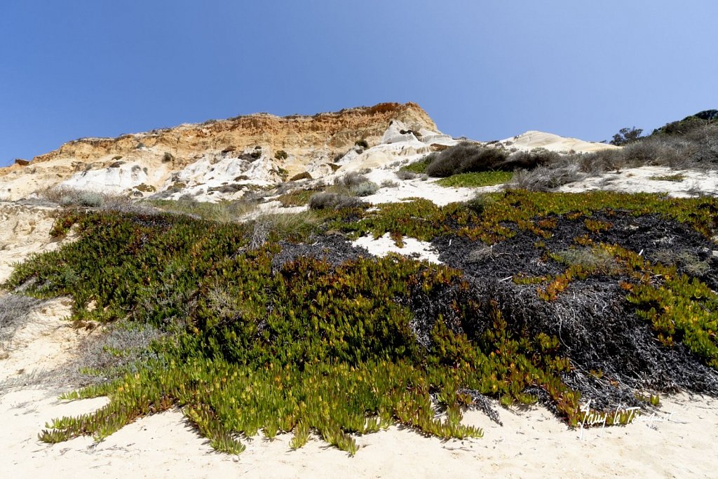 Cote-d-Algarve-0029.jpg