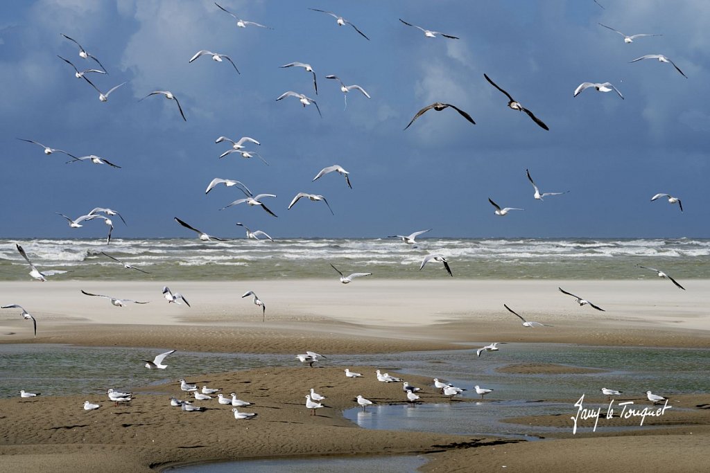 Le-Touquet-2139.jpg
