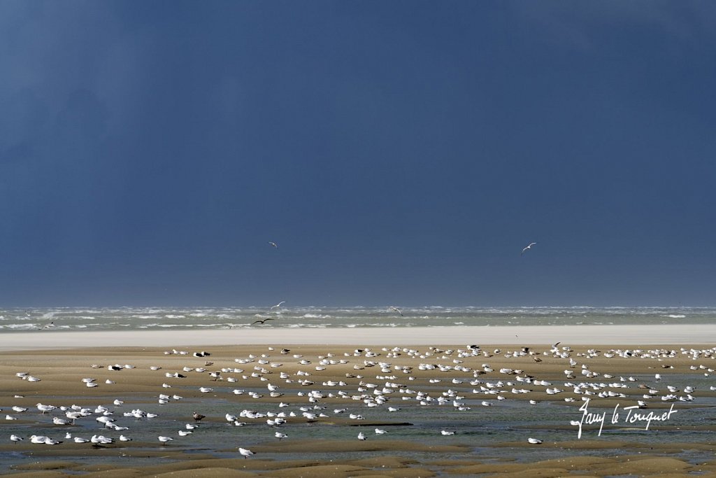 Le-Touquet-2140.jpg